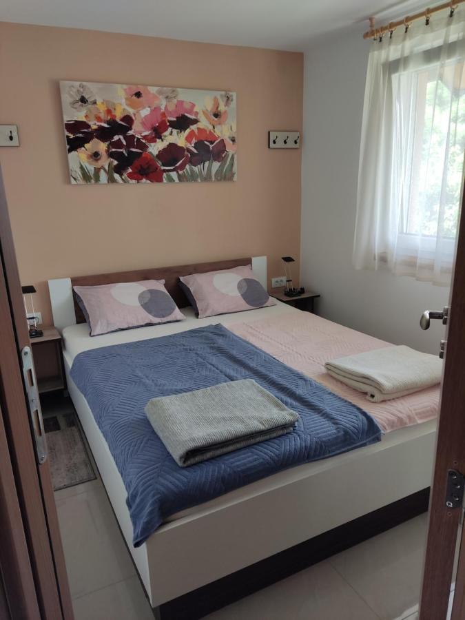 Apartmani Sladjana Novi Sad Esterno foto